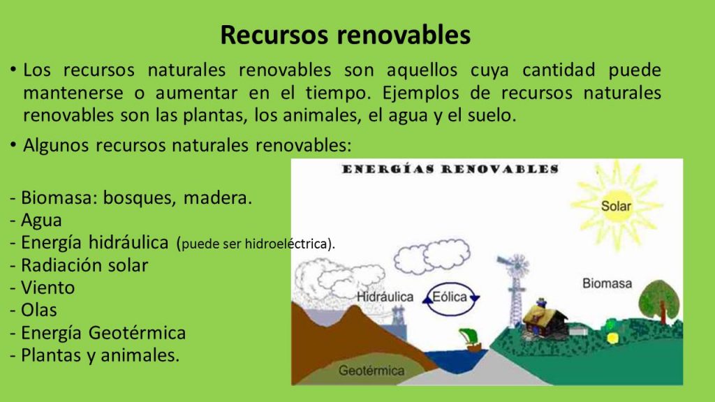 Diferencia Entre Recursos Naturales Renovables Y No Renovables