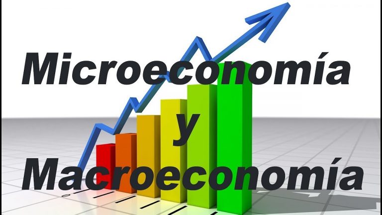 Diferencia Entre Macroeconomía Y Microeconomía - Diferenciando