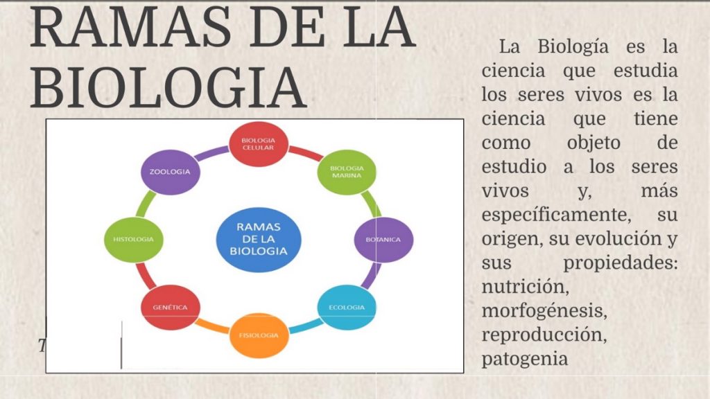 Las 79 Ramas De La Biología (qué Estudian Y Ejemplos) - Diferenciando