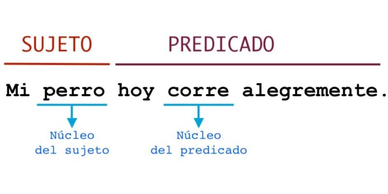 Diferencia Entre Morfología Y Sintaxis Diferenciando 