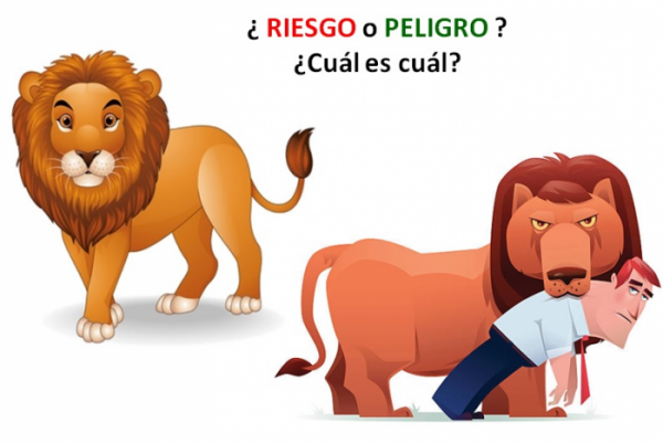 Diferencia Entre Peligro Y Riesgo - Diferenciando