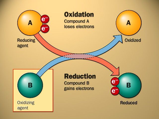 Diferencia Entre Reducción Y Oxidación Diferenciando 5221