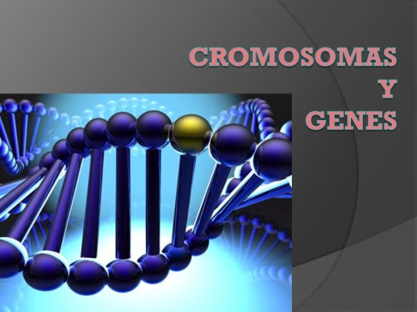 Diferencia Entre Cromosomas Y Genes - Diferenciando