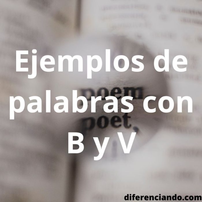 Ejemplos De Palabras Con B Y V - Diferenciando