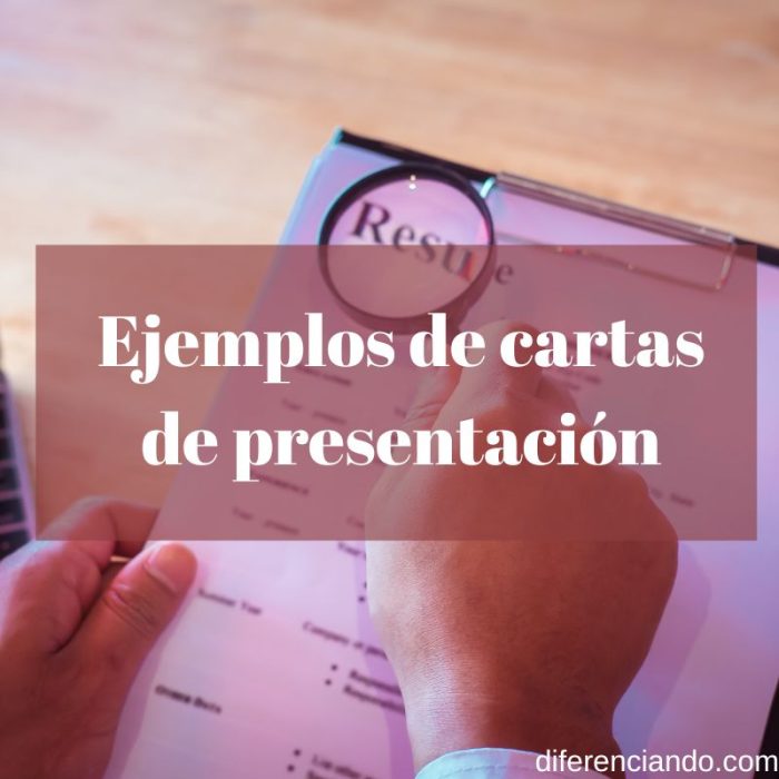 Ejemplos De Cartas De Presentación Y Cómo Escribirlas Diferenciando 5155